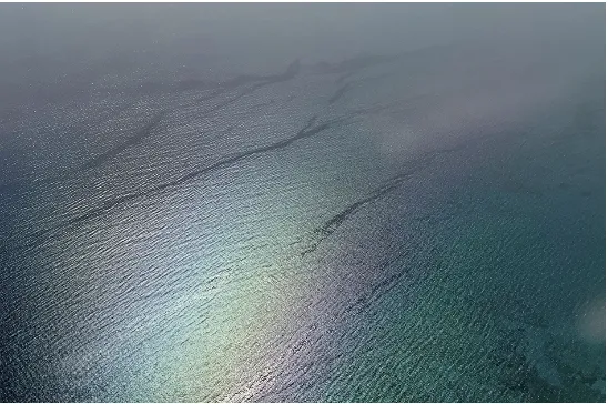 Drowned World 3