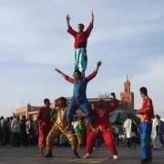 Group of gymnasts performing