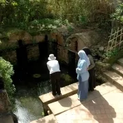Three women admiring a pond