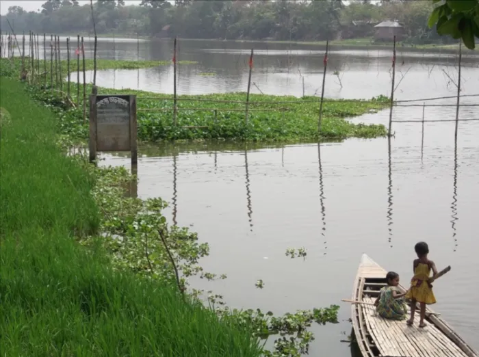 The Kaliganga river
