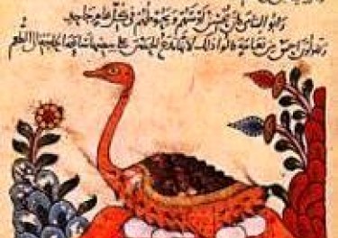 ancient manuscript featuring a bird and flowers in its image